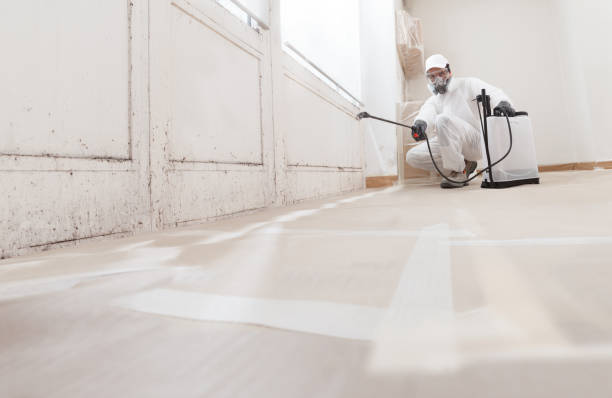 24/7 Emergency Basement Mold Removal experts in Camden, NJ